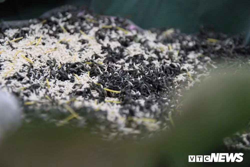 Hiện những người ướp chè sen ở Quảng An đưa ra thị trường 3 loại, nhưng loại hảo hạng vẫn là loại kỳ công nhất. Loại này, một năm, người ướp sen chỉ làm được rất ít.