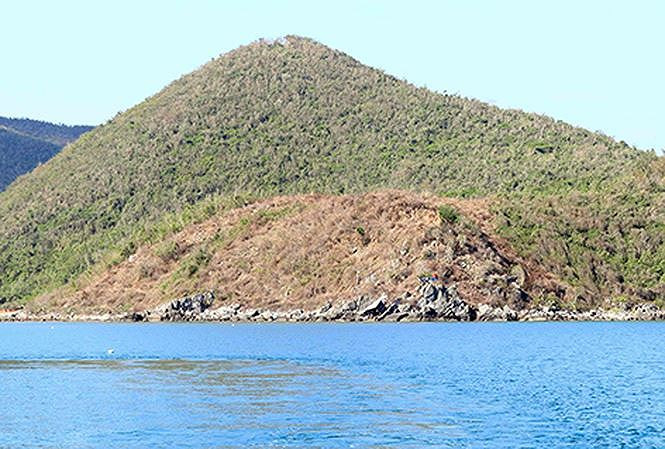 Nhiều hecta đất tại vịnh Vân Phong, huyện Vạn Ninh bị đào bới, cây cối bị đốn hạ. Ảnh: An Phước.