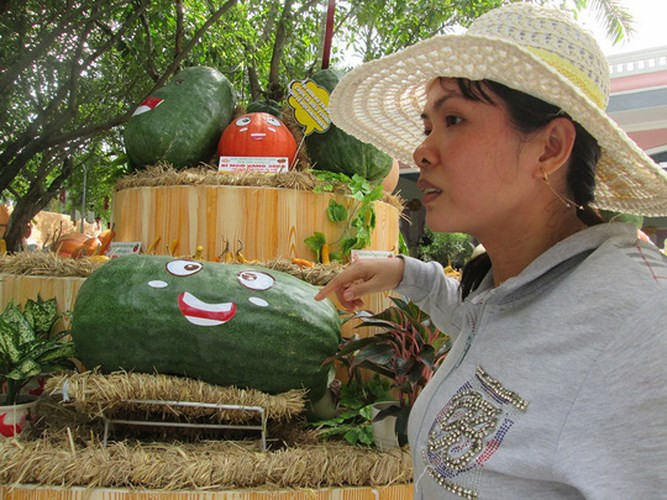 Trái bí đao 'khủng' gây chú ý với khách tham quan. Ảnh: Người Lao động.