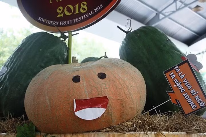 Những loại trái cây “khổng lồ”, lạ mắt đã thu hút nhiều sự quan tâm của người dân khi tham quan khu vườn “kỳ hoa dị thảo” tại lễ hội Trái cây Nam Bộ đang diễn ra tại khu du lịch Văn hóa Suối Tiên (quận 9, TPHCM) diễn ra từ 1/6 đến 17/6. Ảnh: Tiền Phong.