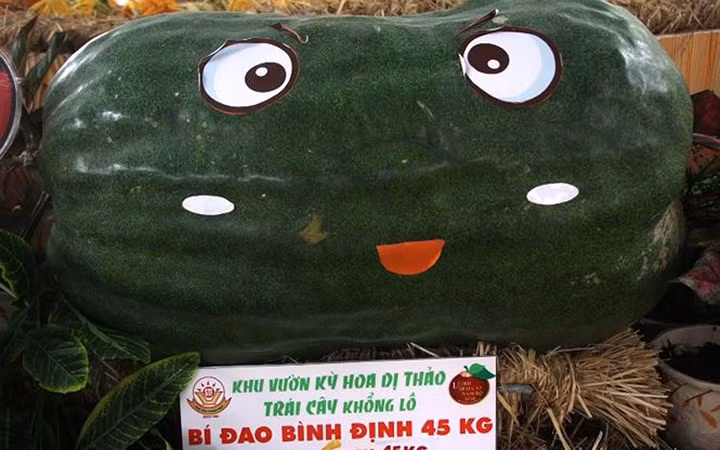 Giống bí đao này đến từ tỉnh Bình Định. Ảnh: Tiền Phong.