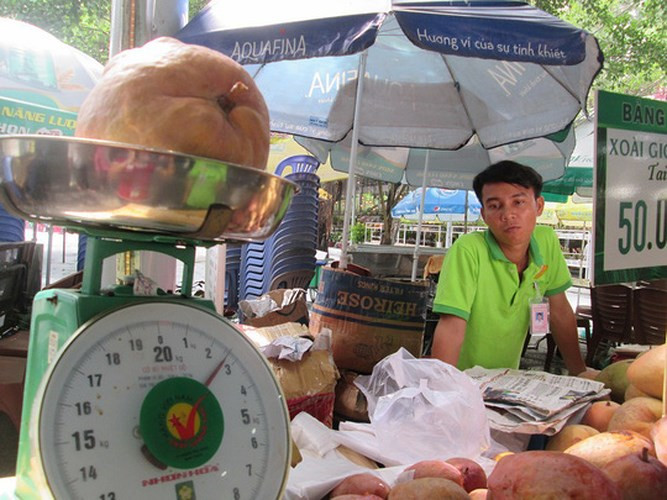 Xoài "khổng lồ" hút khách ở Lễ hội Trái cây Nam Bộ 2018. Ảnh: Người Lao động.