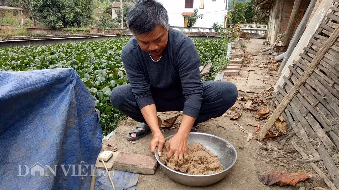Thức ăn chủ yếu của ba ba gai là cá đông lạnh, cá biển được xay nhuyễn rồi trộn cùng với cám để tạo độ dẻo bám được lên máng ăn.