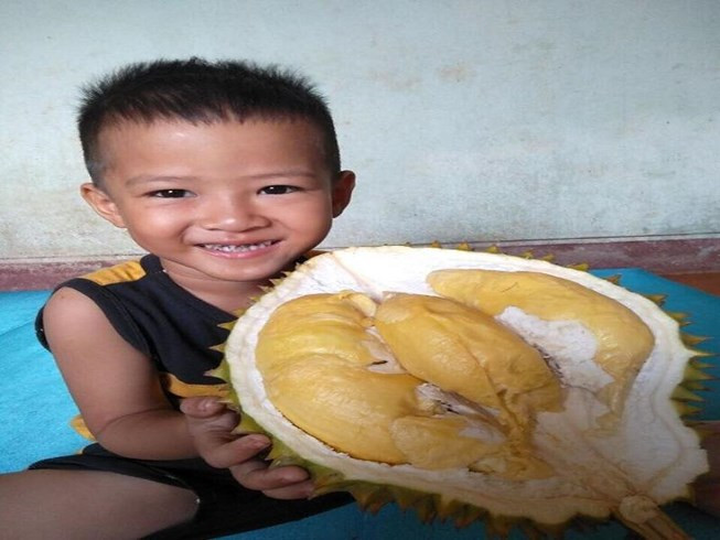 Giá hạt sầu riêng tăng cao so với năm ngoái.