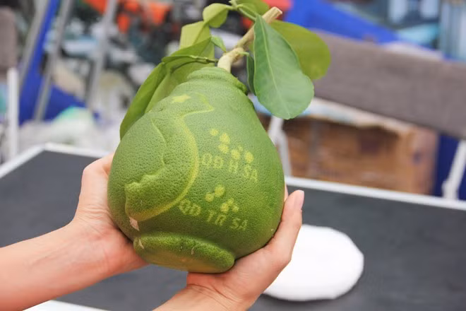 Lo dien buoi in hinh ban do Viet Nam tuyet dep-Hinh-2