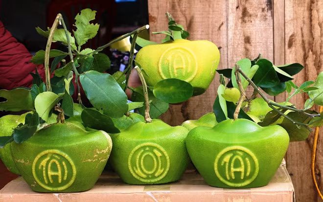 Những quả bưởi hình thỏi vàng có in chữ Tài - Lộc. Ảnh: P.H.