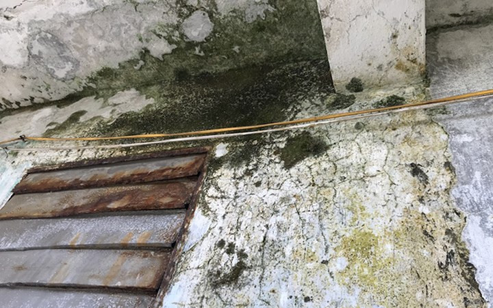 Ở các tầng, tình trạng thấm nước từ tầng trên xuống dưới diễn ra thường xuyên. Gần như phòng nào cũng xảy ra tình trạng này khiến rêu xanh mọc khắp tường. Ảnh: Dân Việt.