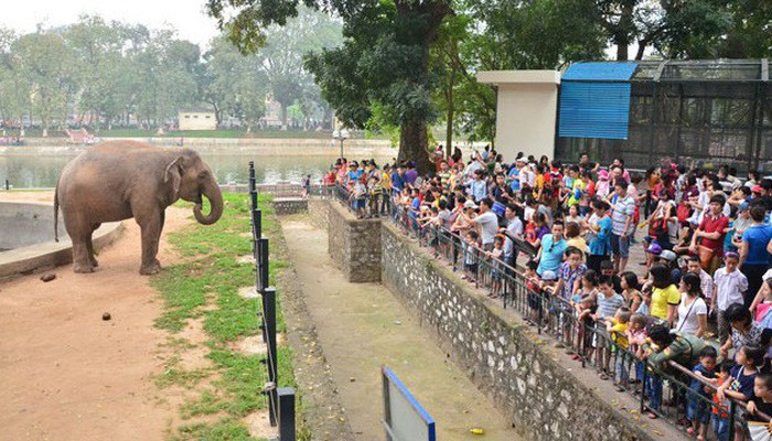 Da co quyet dinh xay bai do xe ngam trong cong vien Thu Le