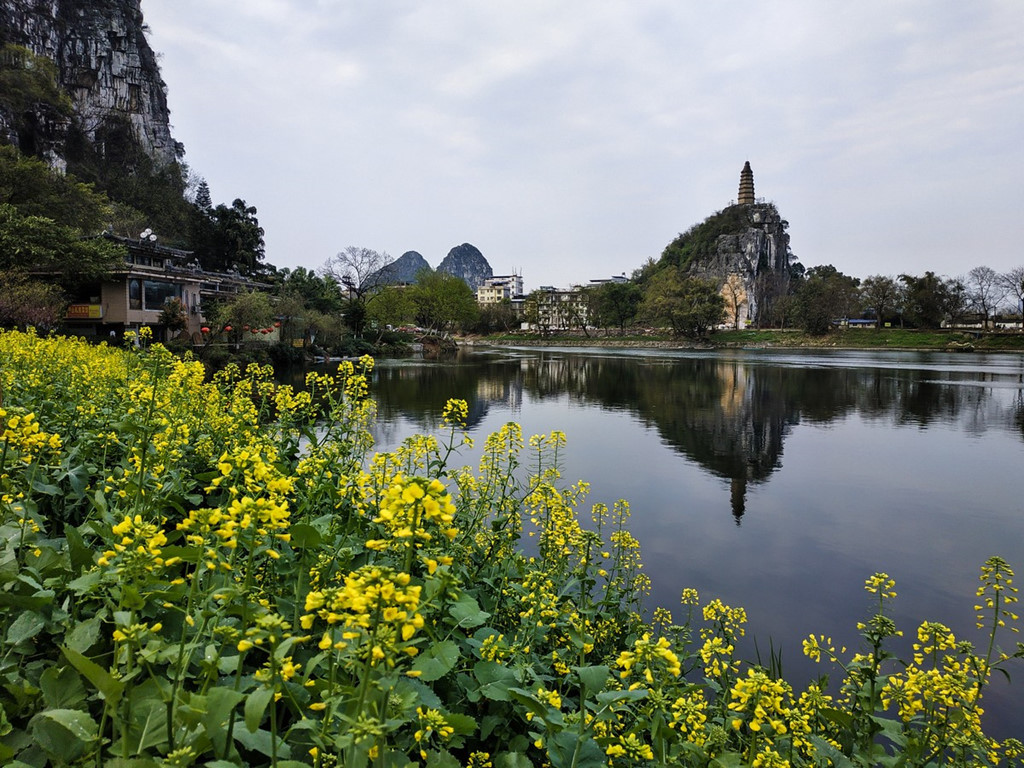 Trong điều kiện đủ sáng, cụm camera kép trên Redmi Note 5 mang lại những shot hình tốt.