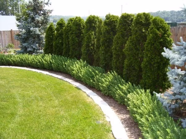 San vuon van xanh tuoi, tran day suc song trong nhung ngay lanh-Hinh-9