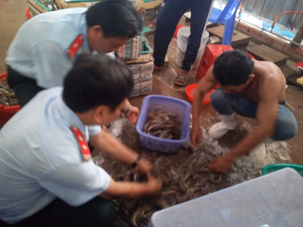 Lai bat mot vu bom tap chat vao tom: Phat it, khong so?