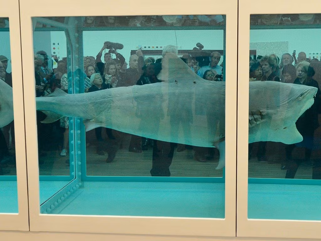 Năm 2014, nhà quản lý quỹ đầu cơ tỷ phú Steve Cohen đã mua một con cá mập được bảo quản dài 14 feet với giá từ 8 triệu đến 12 triệu đô la.