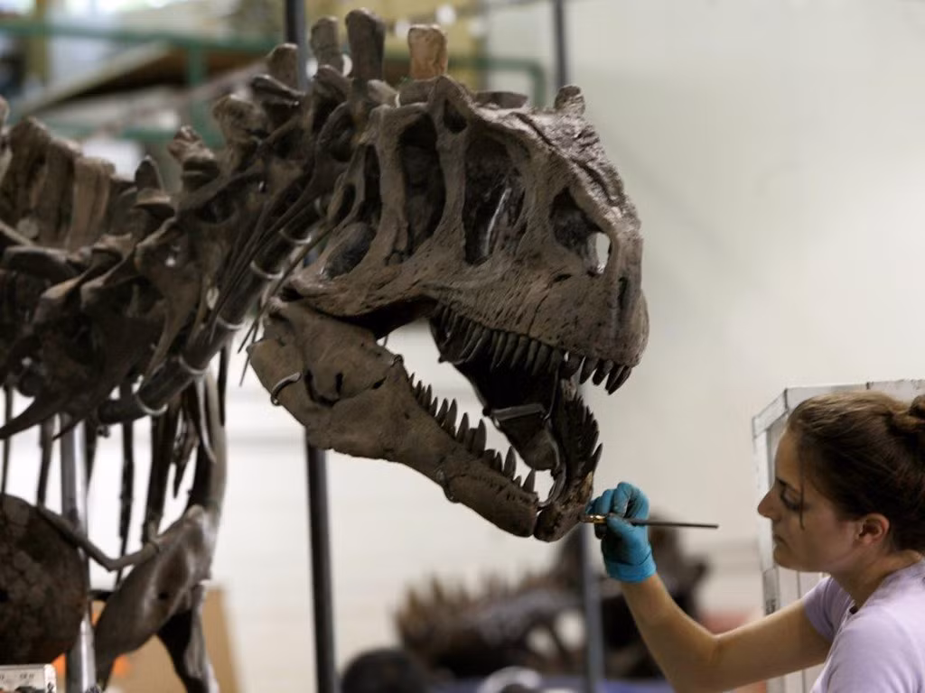 Tại một cuộc đấu giá ở Paris vào tháng 6 năm 2018, một người mua giấu mặt đã chi khoảng 2,6 triệu đôla cho hóa thạch của một con khủng long được cho là từ chi Allosaurus.