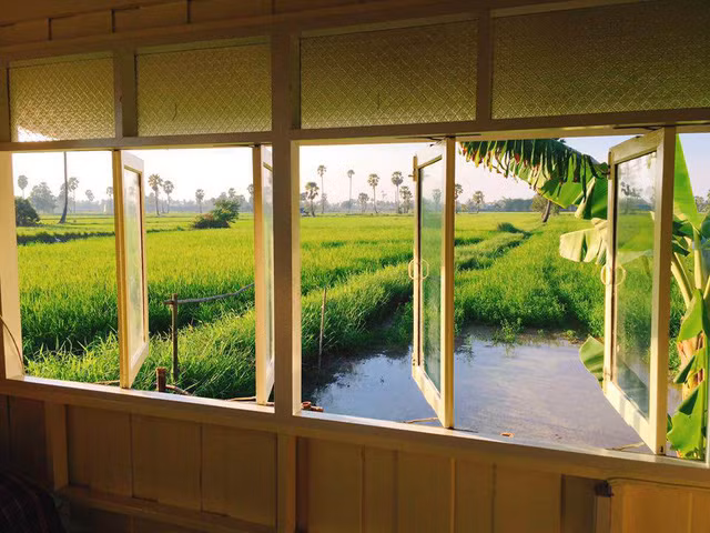 Cửa sổ nhìn ra cánh đồng xanh.