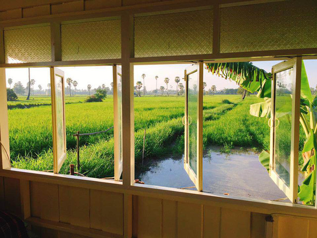 Cửa sổ nhìn ra cánh đồng xanh.