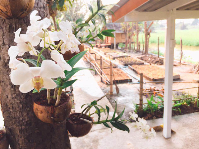 Khung cảnh quanh nhà vô cùng bình dị, dân dã đậm chất thôn quê.