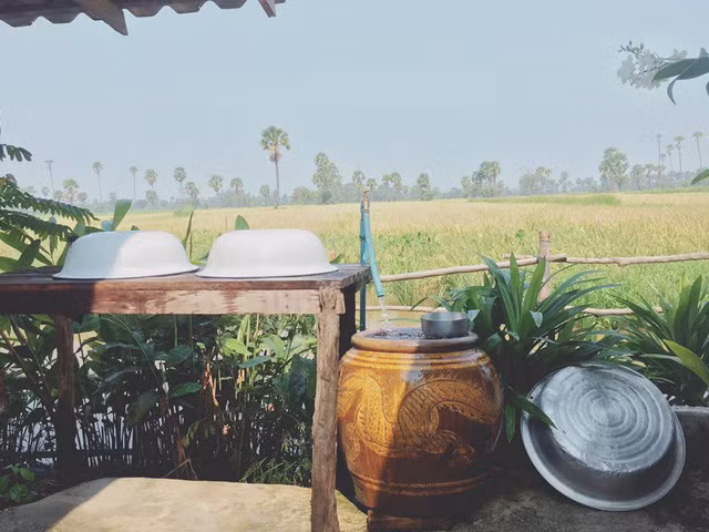 Cánh đồng lúa sau nhà trải dài ngút tầm mắt.