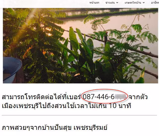 Một trang web Thái Lan còn để lại số điện thoại liên hệ nếu muốn đặt phòng ở đây.