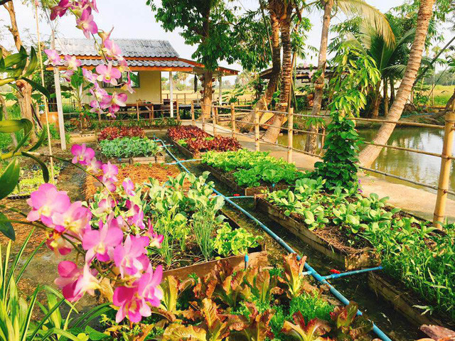 Căn nhà được cho là của một đôi vợ chồng trẻ người Thái Lan.