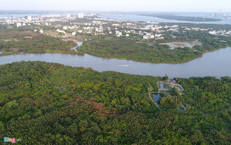 Trao đổi với Zing.vn, ông Nguyễn Quốc Cường, Phó tổng giám đốc QCG, cho rằng hợp đồng mua đất của Công ty Tân Thuận là giao dịch dân sự thông thường, thuận mua vừa bán. Khu đất nông nghiệp này là khu đất QCG đã nhận chuyển nhượng nhưng diện tích đền bù không tập trung, không có mặt tiền vào khu đất. Hiện diện tích phần lớn khu đất vẫn là đất hoang, lau sậy mọc um tùm với hệ sinh thái tự nhiên.