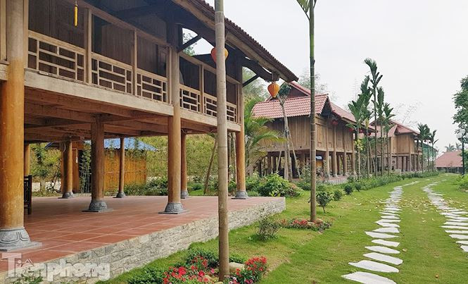 Điều đáng nói, hiện Công ty TNHH Thái Việt đã cho “lập chốt” thu phí ra vào khu sinh thái trái phép này ngay trước cổng vào.