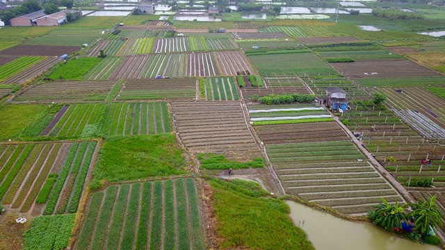 Vinh Phuc: Dat thue 48 nam, “sang tay” DN co gia 100 trieu dong/m2?-Hinh-2