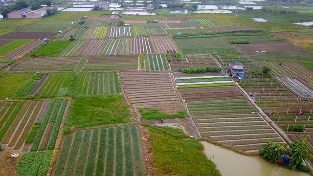 Vinh Phuc: Dat thue 48 nam, “sang tay” DN co gia 100 trieu dong/m2?-Hinh-2