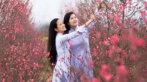 Thoi tiet ca nuoc dip Tet Nguyen dan Binh Than se the nao?