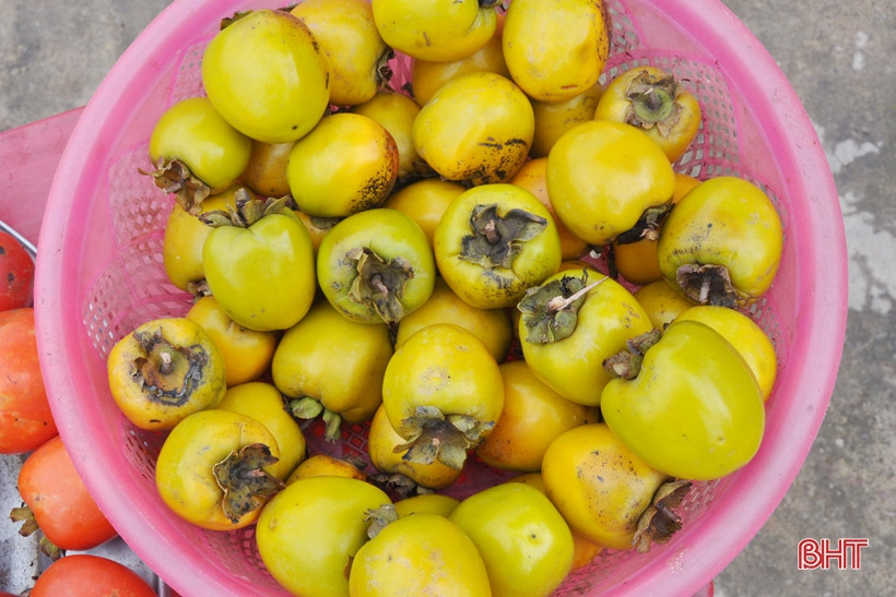 ..sau đó ngâm nước lạnh 3 ngày, mỗi ngày thay nước 2 lần, khi ăn, hồng ngâm sẽ rất giòn. Do không sử dụng thuốc bảo vệ thực vật, hồng còn là món quà thơm với ong, bướm.