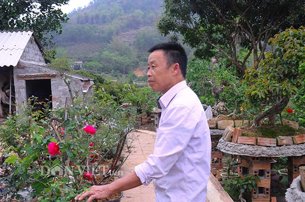 Khu vườn cây của ông đa dạng các loại hoa, cây cảnh từ cây hoa hồng dại, cây hoa ngũ sắc dại cho tới cây ăn quả như, dâu, chanh, na...rất cả đều được ông Mão nhặt từ rừng về trồng tại vườn nhà.