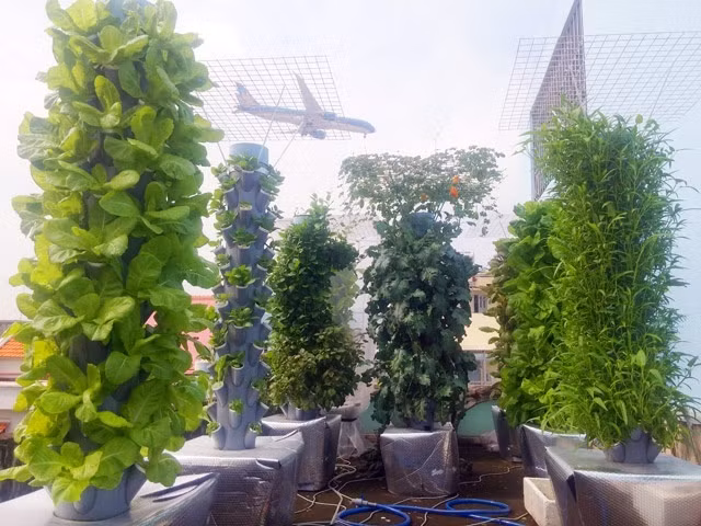 Sân thượng nhà anh Sơn rộng 21 m² nhưng diện tích vườn chỉ chiếm 10 m². 