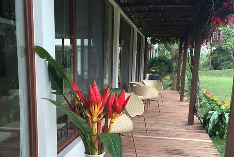 Loat sao Viet bi trom dot nhap, vo tinh lo co ngoi cuc 