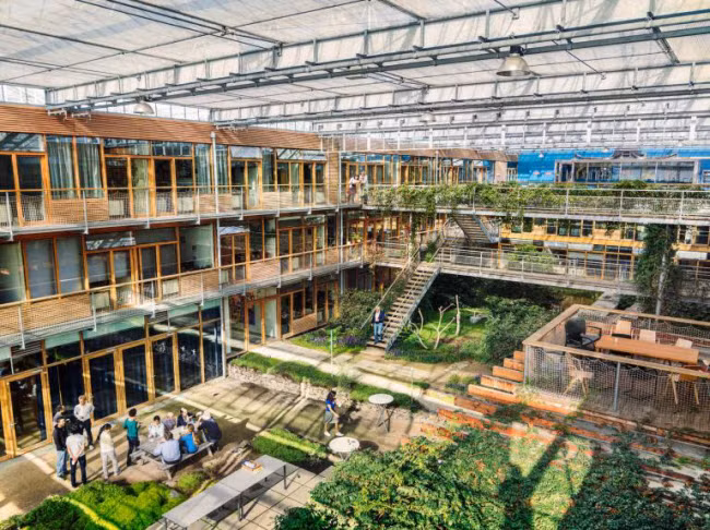 Chiem nguong cac trang trai trong nha kinh dep nhu tranh ve-Hinh-3