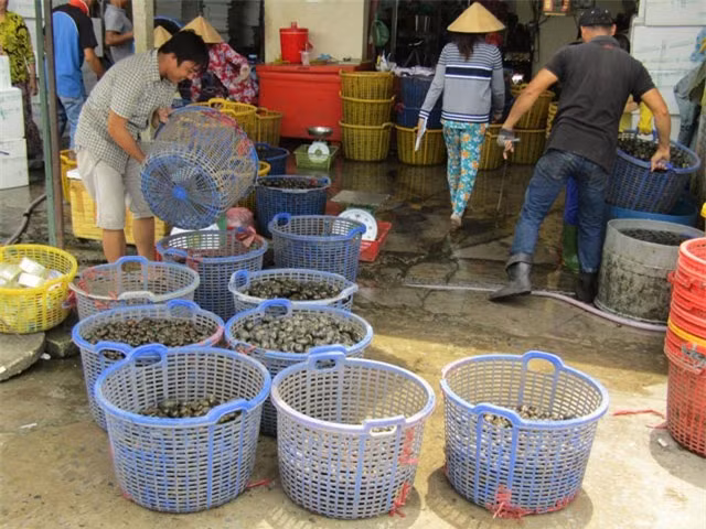 Dua oc buou di may bay, kiem bac trieu moi ngay-Hinh-5