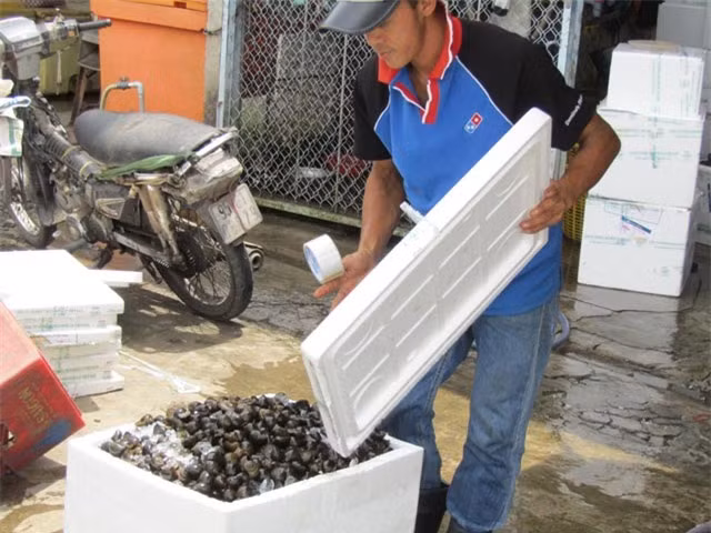 Dua oc buou di may bay, kiem bac trieu moi ngay-Hinh-3