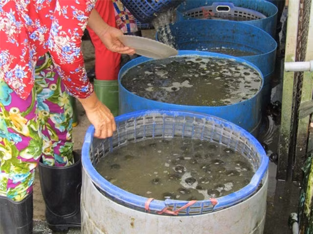 Dua oc buou di may bay, kiem bac trieu moi ngay-Hinh-4