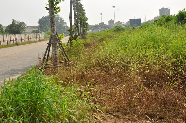 Ảnh: Ngổn ngang trên tuyến đường đổi bằng 180ha đất "vàng" ở Long Biên - Hình 8 Anh: Ngon ngang tren tuyen duong doi bang 180ha dat