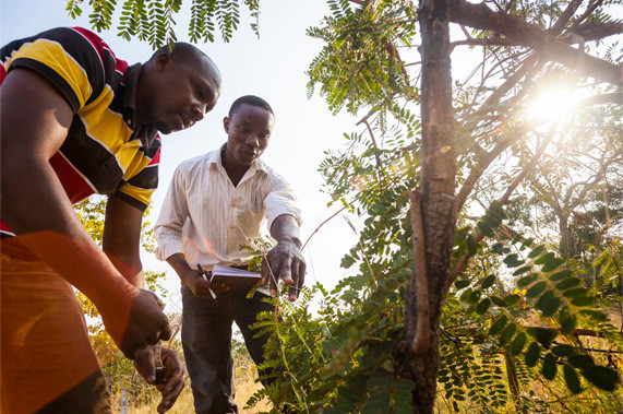 Với mỗi chiếc iPhone tái chế nhận được qua chương trình GiveBack, Apple sẽ trích một khoản tiền từ thiện gửi cho Tổ chức Bảo tồn Quốc tế (CI). Tổ chức IC đang hoạt động tại 30 quốc gia với sứ mệnh gìn giữ và bảo vệ môi trường.