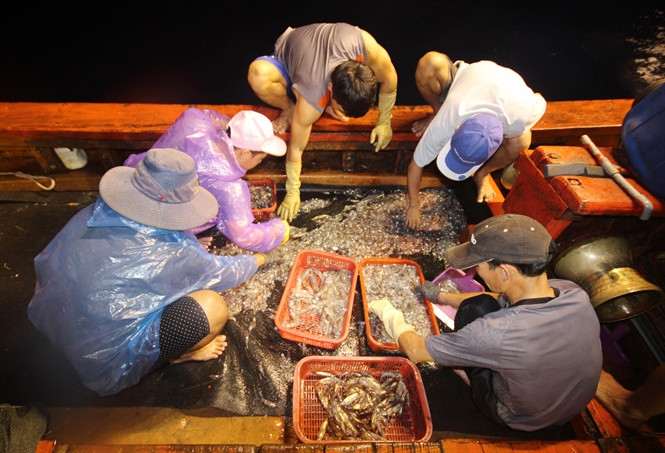 Trang dem, chong den du muc giua trung duong thu vai chuc trieu-Hinh-4