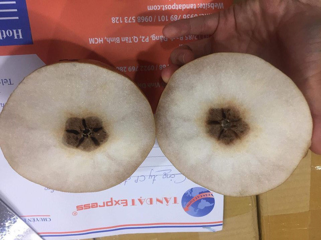 Klever Fruits bán quả thối cho khách hàng và khi xử lý sự cố thì bị tố là thiếu trung thực.