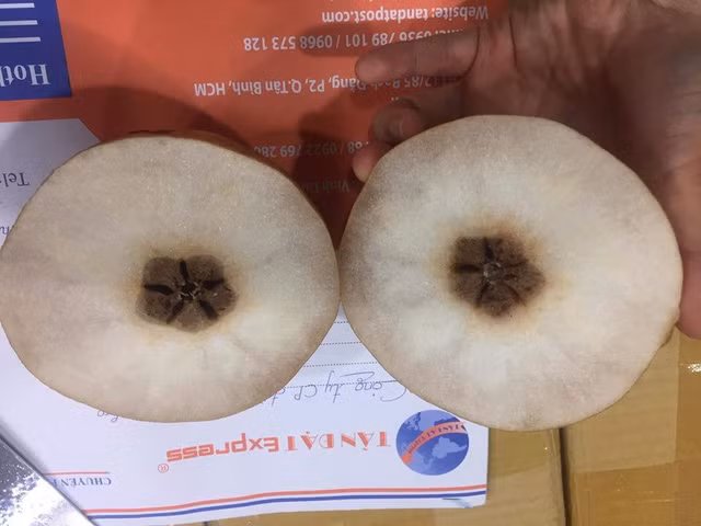 Klever Fruits bán quả thối cho khách hàng và khi xử lý sự cố thì bị tố là thiếu trung thực.