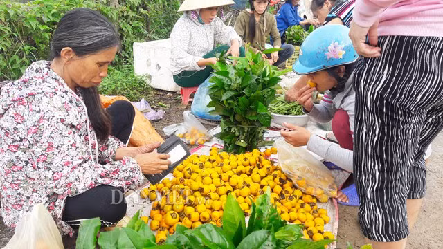 Ve xu so hong khong hat co thu, nguoi dan thu 8 ty moi vu-Hinh-2