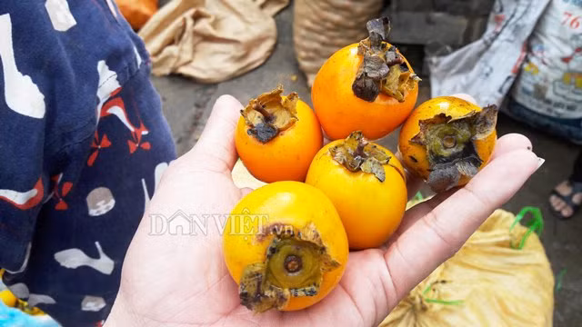 Ve xu so hong khong hat co thu, nguoi dan thu 8 ty moi vu-Hinh-4