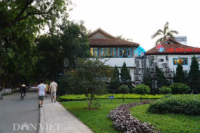 Nhà hàng này được coi như một phần diện tích nằm bên trong công viên. Được biết phần diện tích được cho thuê lại rộng 1.200 m2 với giá rất rẻ, thời hạn thuê có lô kéo dài đến 25 năm. Tuy nhiên đến nay vẫn chưa có ai chịu trách nhiệm về việc này.