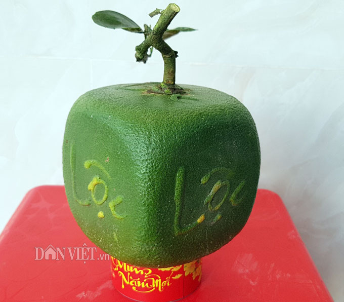 Trái bưởi hình vuông, có chữ ở 4 mặt.