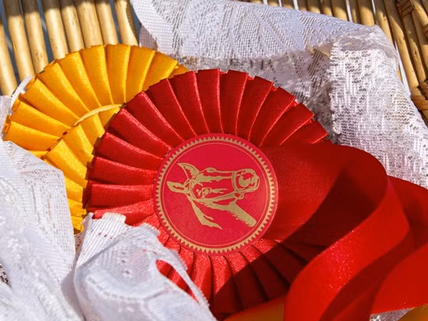 Trong cuộc thi USEF năm 2014, Gates đã giành được 120.791 USD tiền thưởng. 2 năm sau, cũng tại giải đấu này, Jobs đã giành được 159.293 USD.