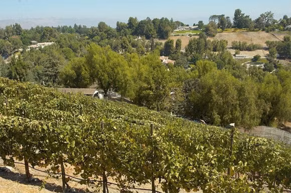  Điền trang rộng hơn 5 mẫu Anh (20.000m2) gồm một ngôi nhà 2 tầng, vườn nho, chuồng gia súc gia cầm, khu cưỡi ngựa, vườn cây ăn trái, sân cỏ...