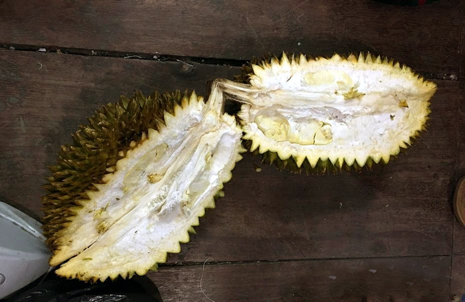 Chị Minh Thu bổ một quả sầu riêng mua giải cứu thì bị như trên. Ảnh: N.T.