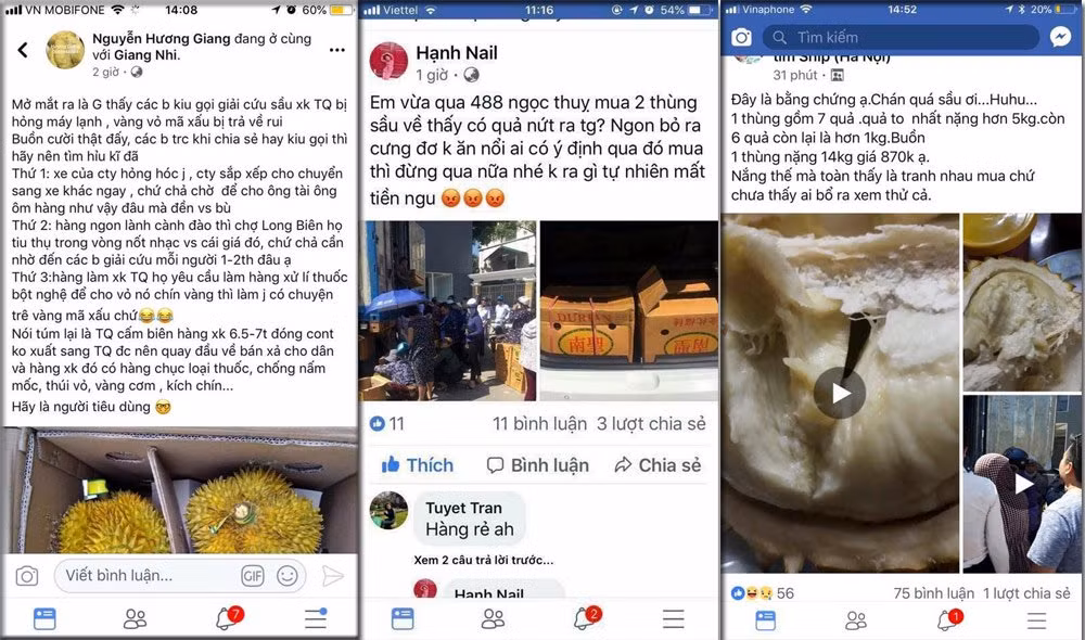 Các ý kiến chê tơi tả về chất lượng và nghi ngờ về nguồn gốc số sầu được giải cứu.