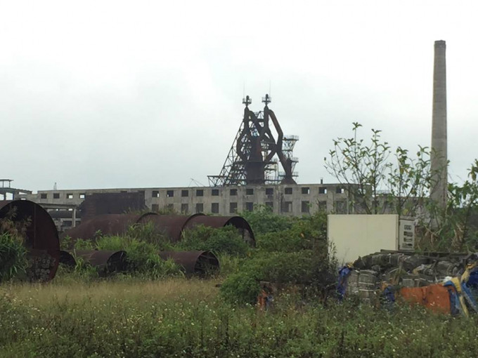 Cây cối, cỏ dại mọc ùm tùm trong khuôn viên nhà máy.